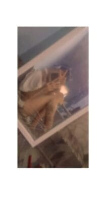 Akyre OnlyFans México - @aky_re
